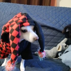 Meet your Posher, Monette